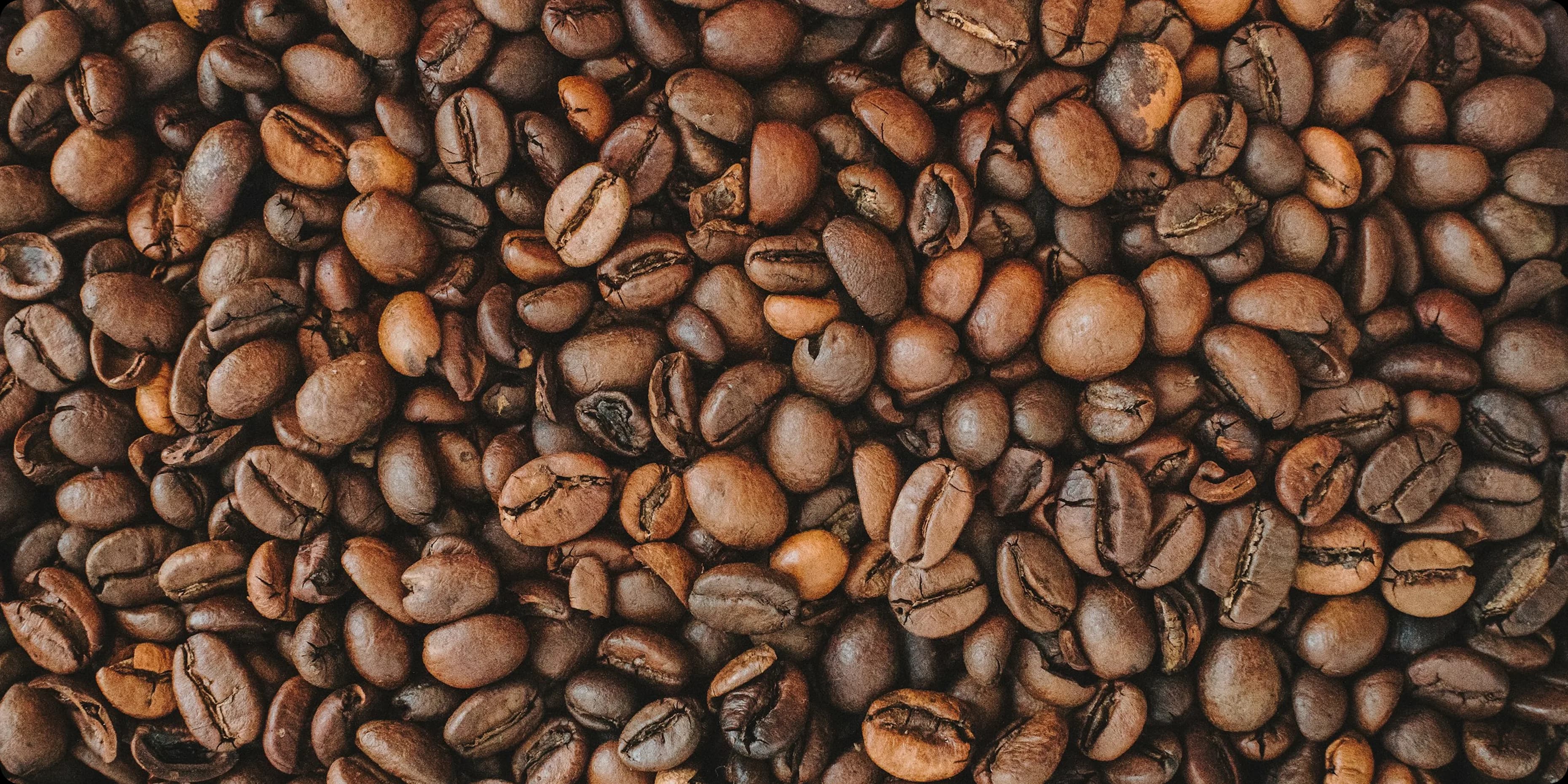 Ruang Kopi challenge